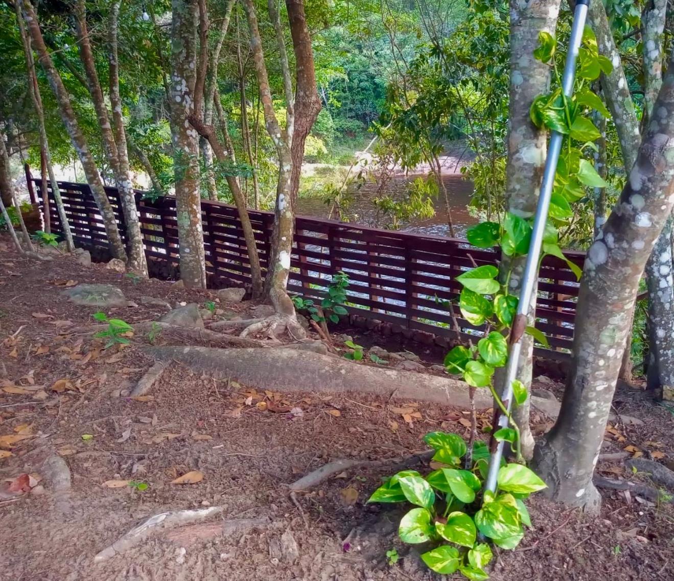 Reserva Do Bosque Hospedaria E Natureza อิบิกวารา ภายนอก รูปภาพ