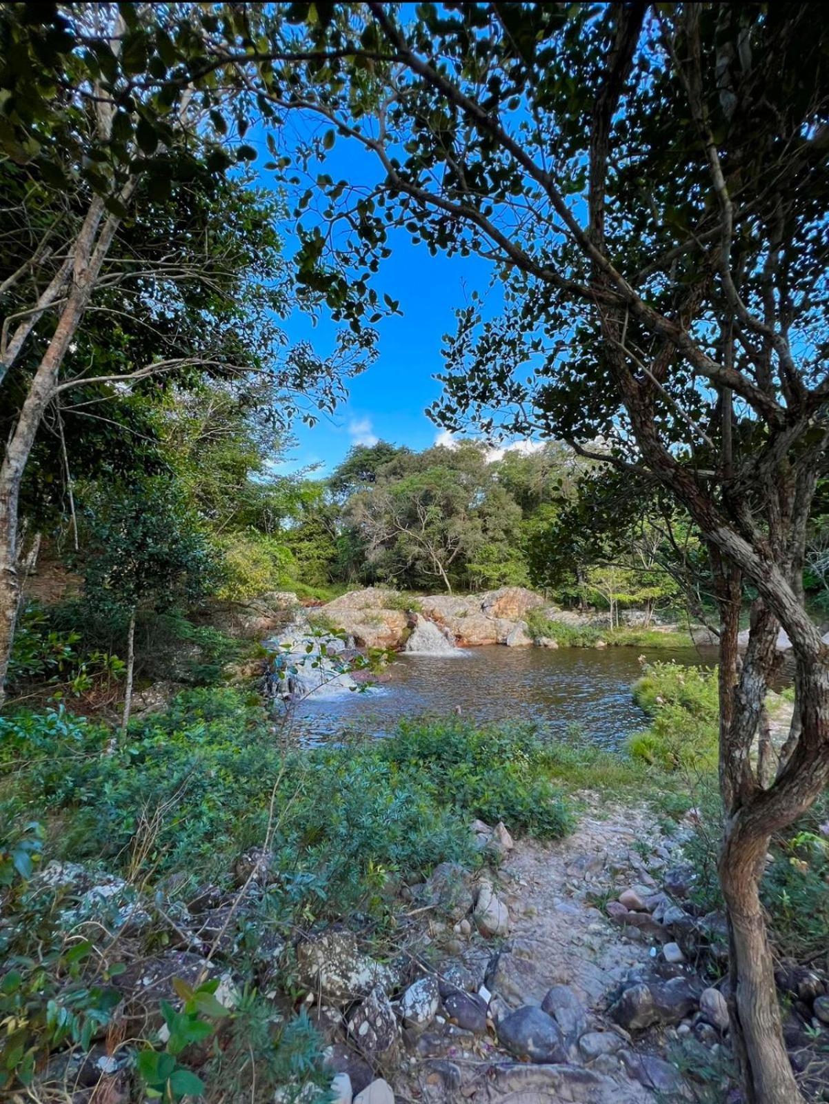 Reserva Do Bosque Hospedaria E Natureza อิบิกวารา ภายนอก รูปภาพ